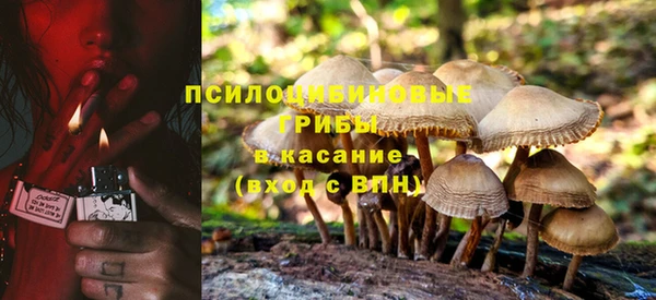 ПСИЛОЦИБИНОВЫЕ ГРИБЫ Снежинск