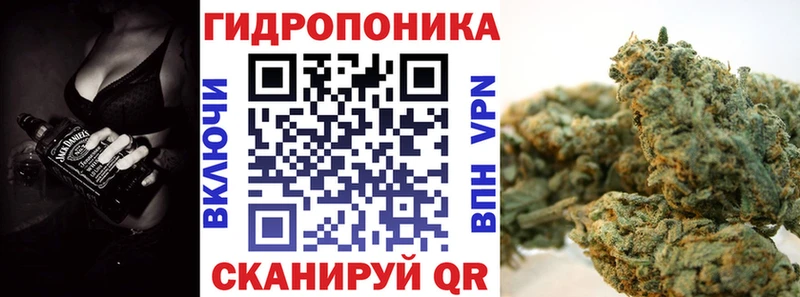 блэк спрут рабочий сайт цены Кашин Канабис SATIVA & INDICA